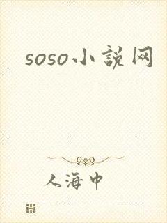 soso小说网