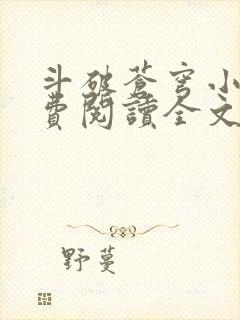 斗破苍穹小说免费阅读全文无弹窗