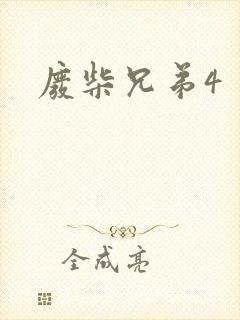 废柴兄弟4封面