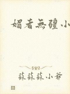 媚者无疆小说封面
