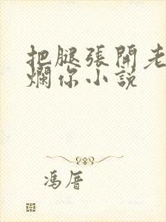 把腿张开老子臊烂你小说