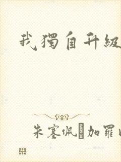 我独自升级小说