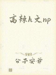 高辣h文np