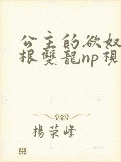 公主的欲奴h四根双龙np视频