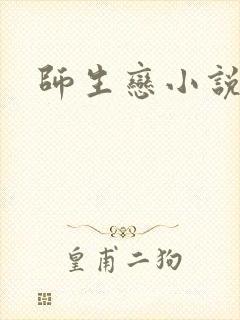 师生恋小说