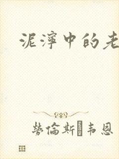 泥泞中的老虎封面