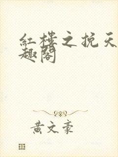 红楼之挽天倾笔趣阁