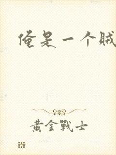俺是一个贼