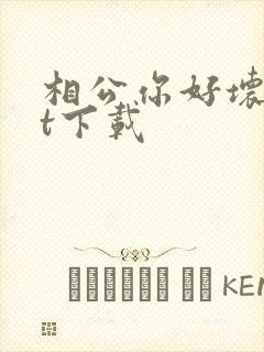 相公你好坏txt下载