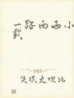 一路向西小说下载