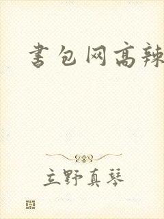 书包网高辣文