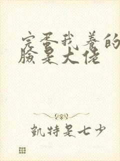 完蛋我养的小白脸是大佬