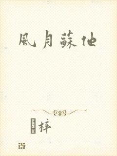 风月苏他