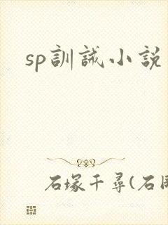 sp训诫小说