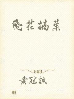 飞花摘叶封面