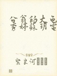 公翁的大龟挺进秀婷苏玥电影
