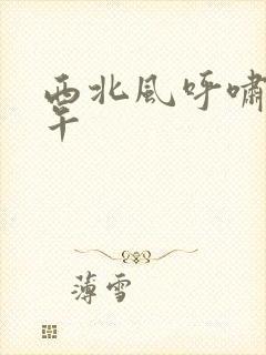 西北风呼啸的中午