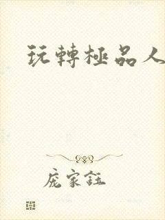 玩转极品人生封面
