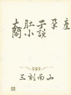 大肚子孕产笔趣阁小说