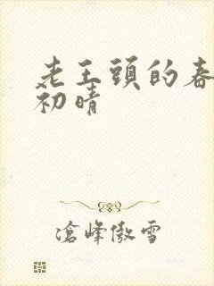 老王头的春天林初晴封面