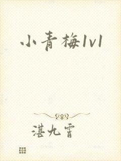 小青梅1v1