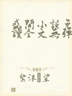盛开小说免费阅读全文无弹窗