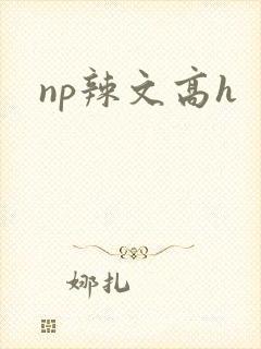 np辣文高h封面