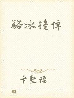 骆冰后传封面