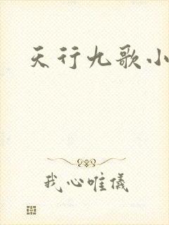 天行九歌小说