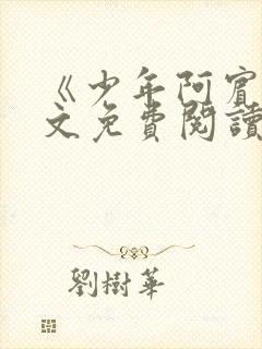 《少年阿宾》全文免费阅读封面