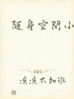 随身空间小说