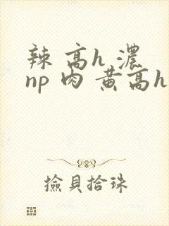 辣 高h 浓 np 肉 黄高h封面