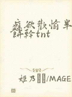 瘾欲欢愉半块小饼干tnt