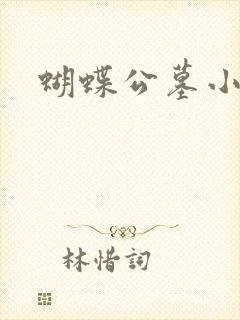 蝴蝶公墓小说
