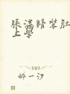 胀满精装肚子去上学封面
