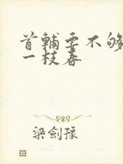 首辅要不够po一枝春封面