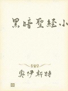 黑暗圣经小说