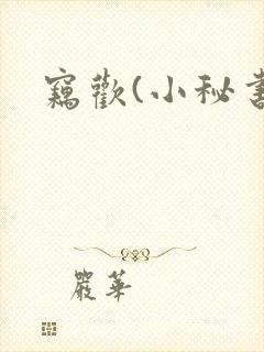 窃欢(小秘书)