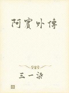 阿宾外传封面