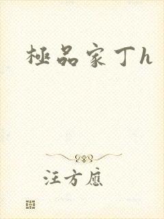 极品家丁h