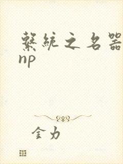 系统之名器攻略np
