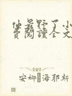 他最野了小说免费阅读全文