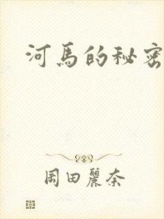 河马的秘密河封面