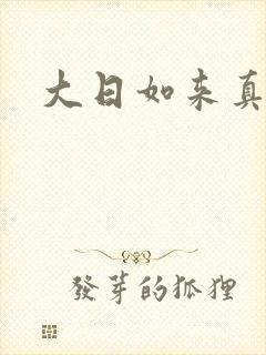 大日如来真经