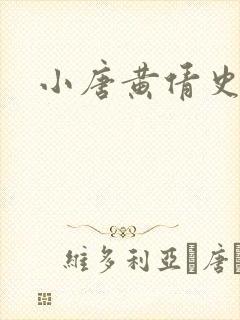 小唐黄倩史