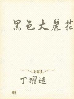 黑色大丽花图片