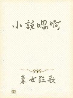 小说嗯啊