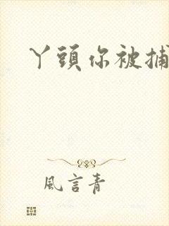 丫头你被捕了封面