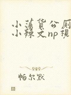 小荡货公厕h文小辣文np视频封面