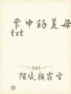掌中的美母版主txt